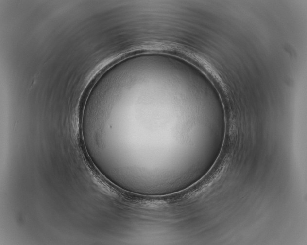 X0000113130837200909181708