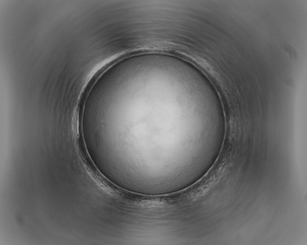 X0000113130838200909181708