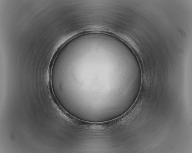 X0000113130839200909181708