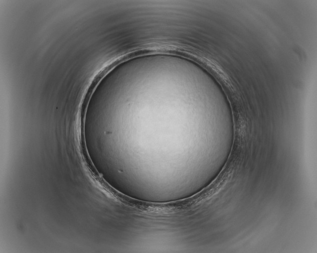 X0000113130840200909181708