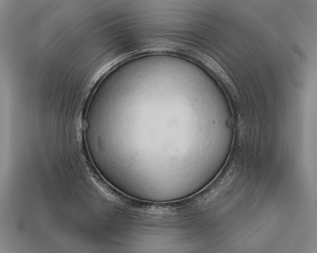 X0000113130842200909181708