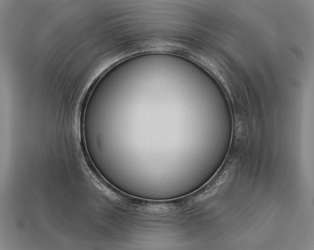 X0000113130843200909181708