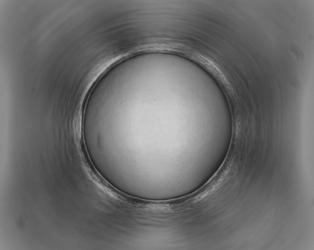 X0000113130844200909181708