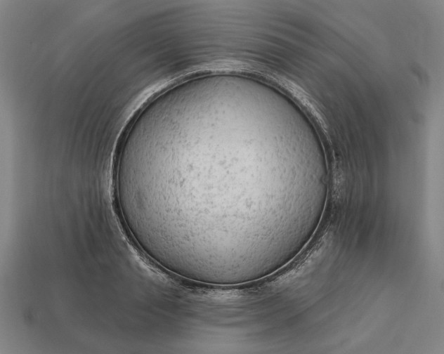 X0000113130845200909181708