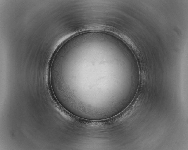 X0000113130846200909181708