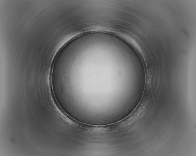 X0000113130847200909181708