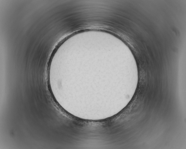 X0000113130848200909181708