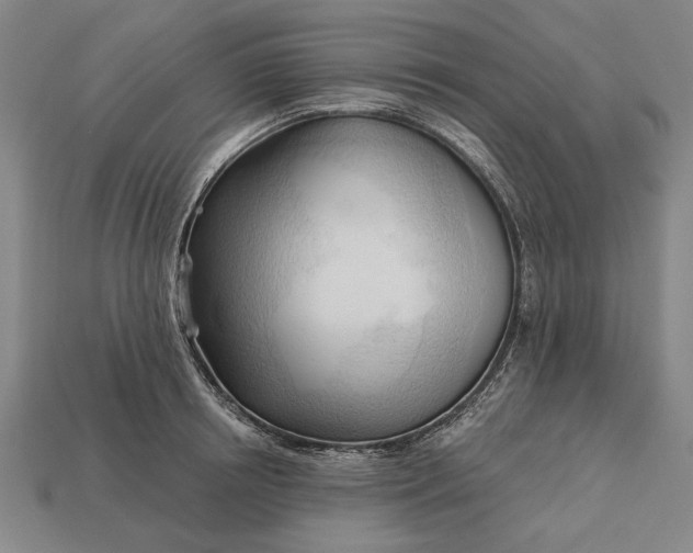 X0000113130850200909181708