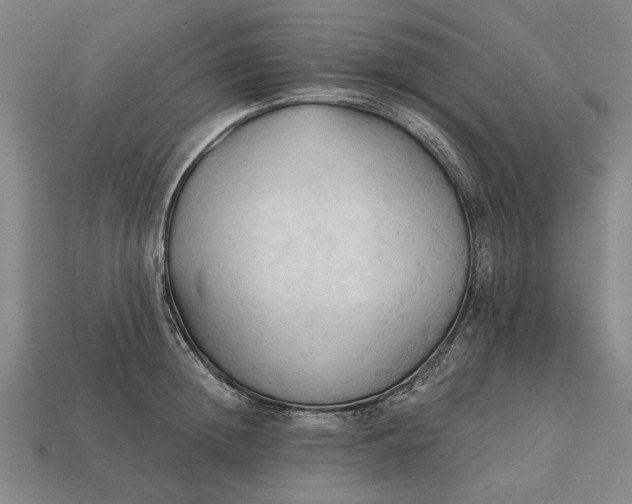 X0000113130852200909181708