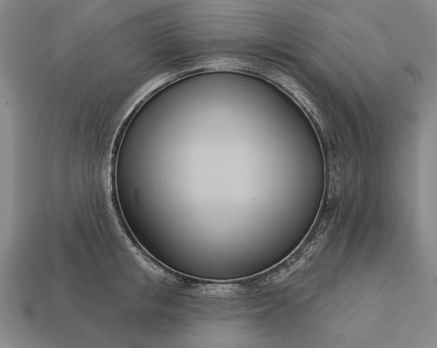 X0000113130853200909181708