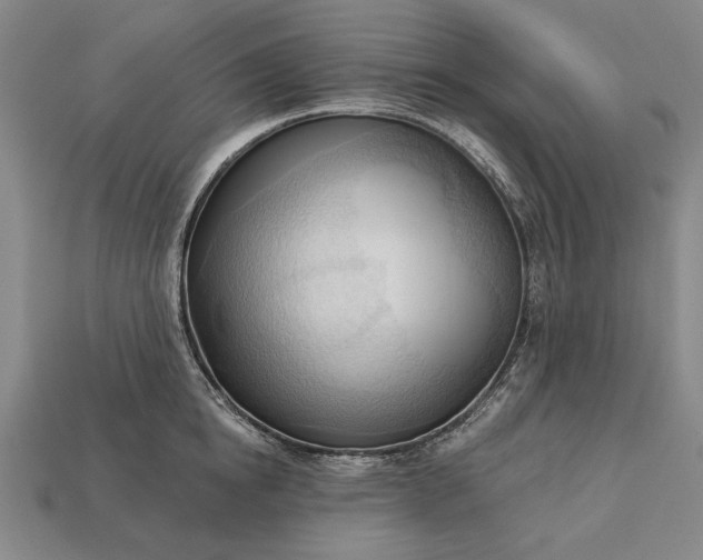 X0000113130854200909181708