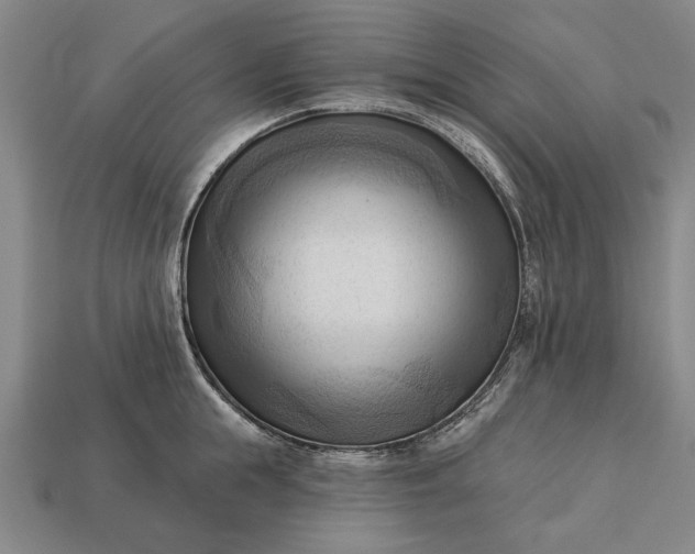 X0000113130855200909181708