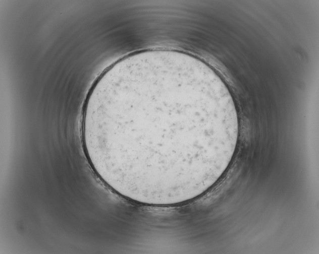 X0000113130856200909181708