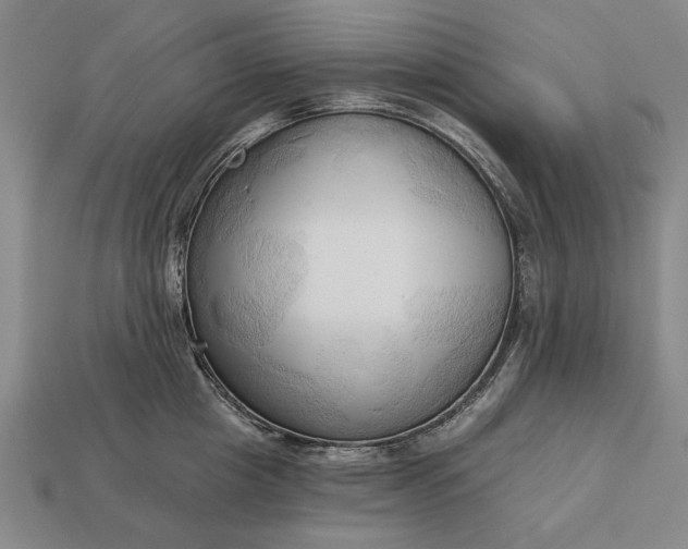 X0000113130857200909181708