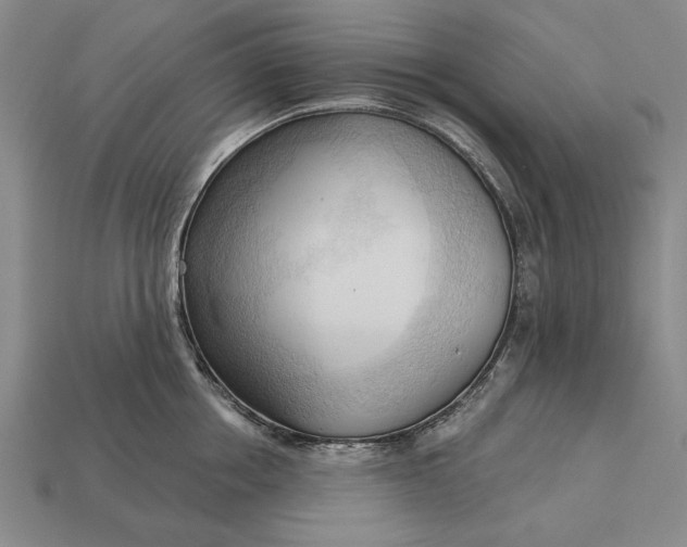 X0000113130858200909181708