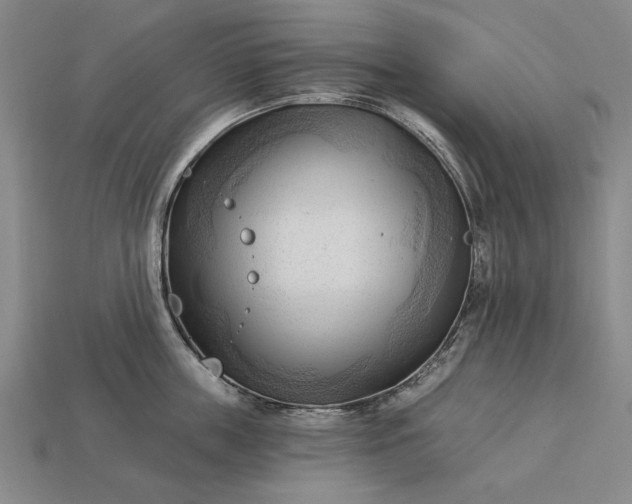 X0000113130859200909181708