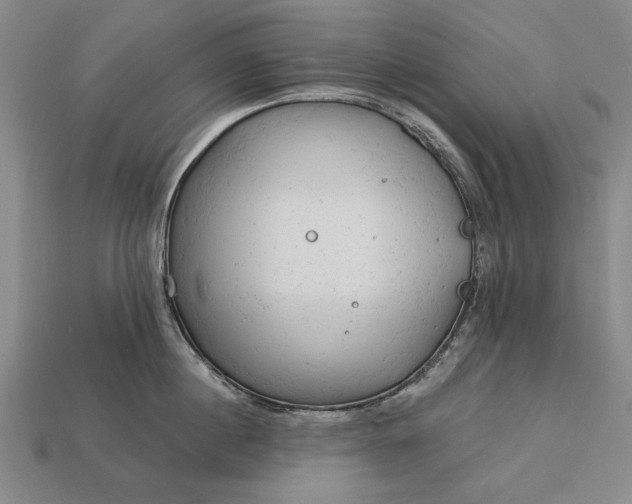 X0000113130860200909181708