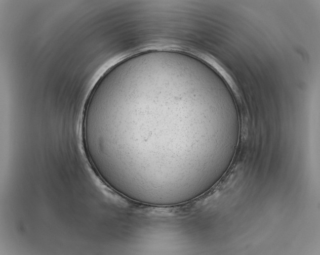 X0000113130861200909181708