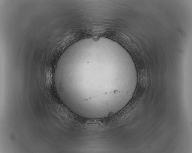 X0000113130866200909181707