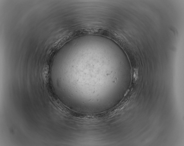 X0000113130867200909181707