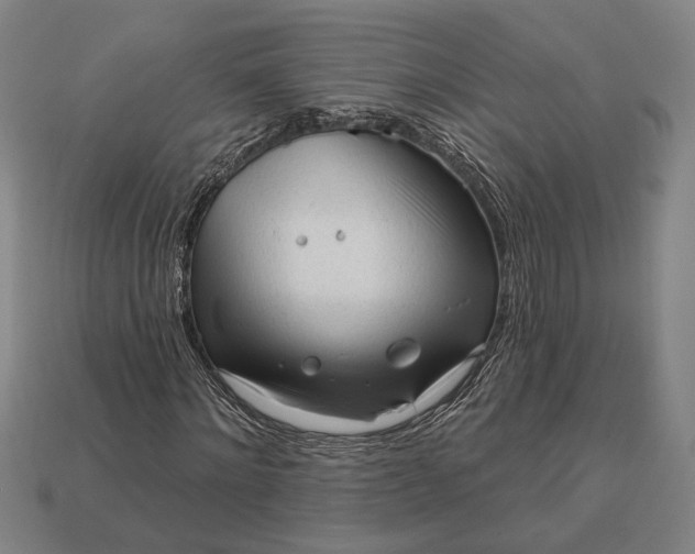 X0000113130868200909181707