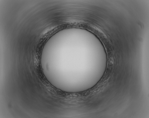 X0000113130869200909181707