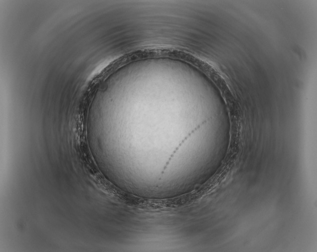 X0000113130871200909181707