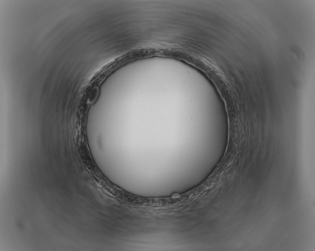 X0000113130872200909181707