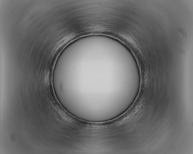 X0000113130873200909181707