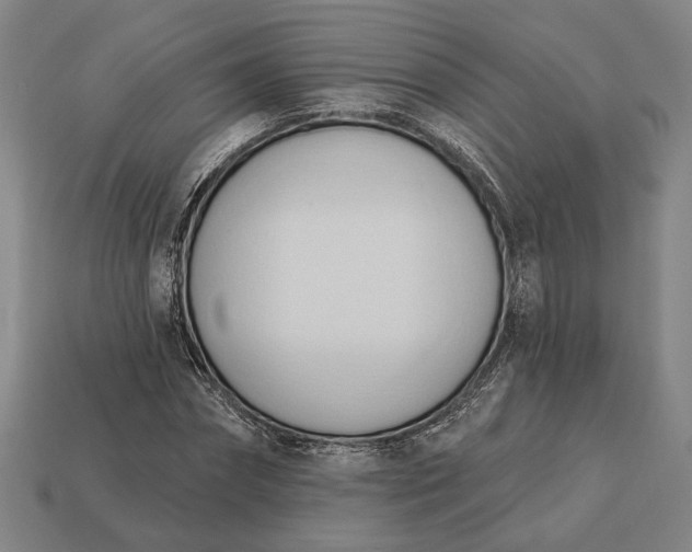 X0000113130874200909181707