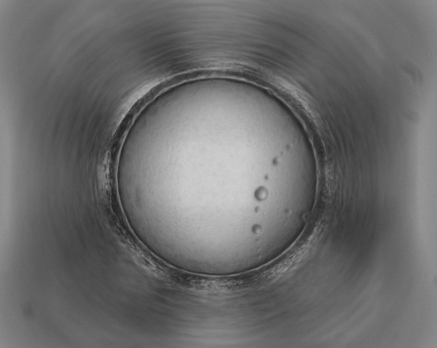 X0000113130875200909181707