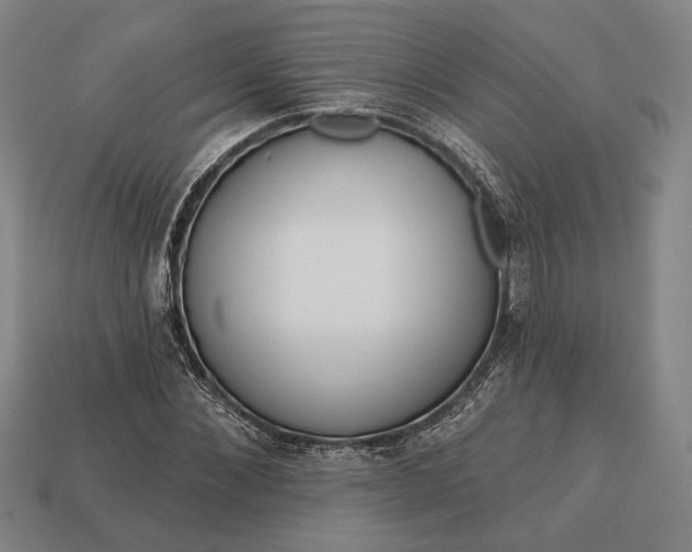 X0000113130876200909181707