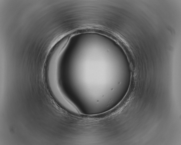 X0000113130877200909181707