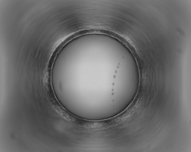 X0000113130879200909181707