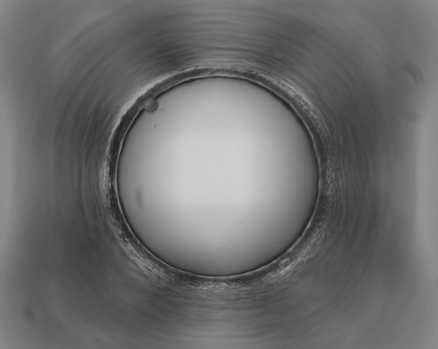 X0000113130880200909181707