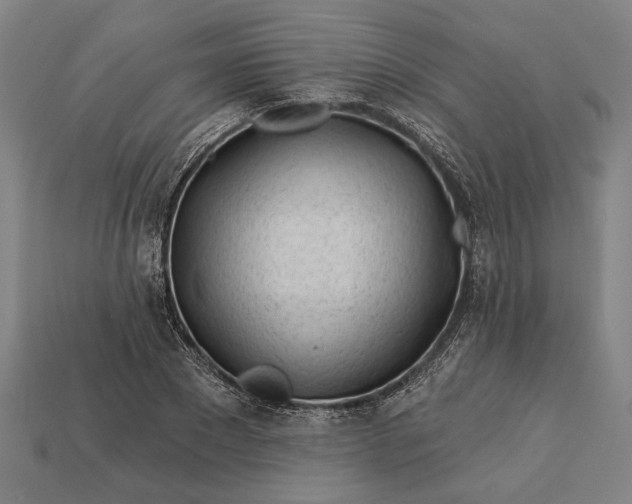 X0000113130881200909181707