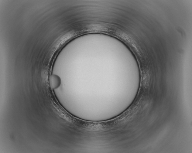 X0000113130882200909181707