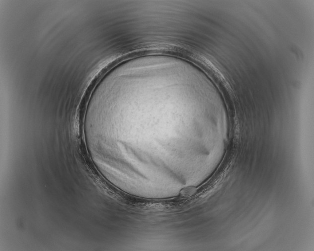 X0000113130883200909181707