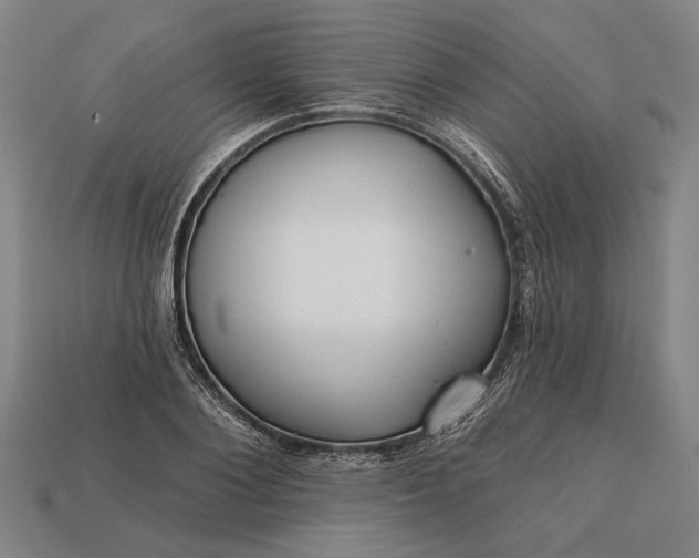 X0000113130884200909181707