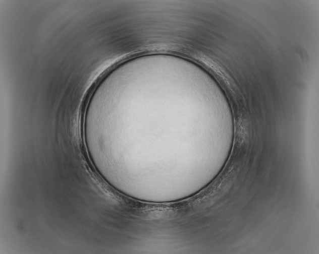 X0000113130886200909181707