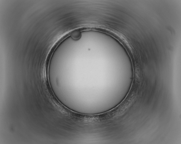 X0000113130887200909181707