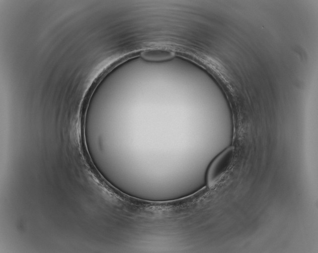 X0000113130888200909181707