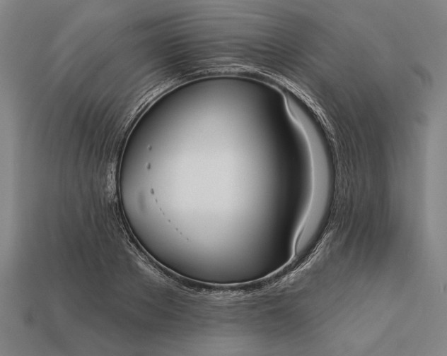 X0000113130889200909181707