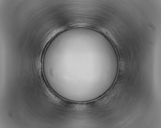 X0000113130890200909181707