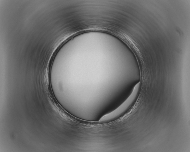 X0000113130892200909181707