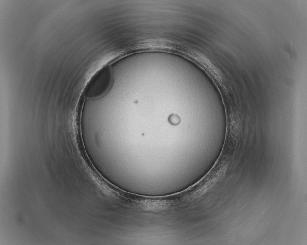 X0000113130893200909181707