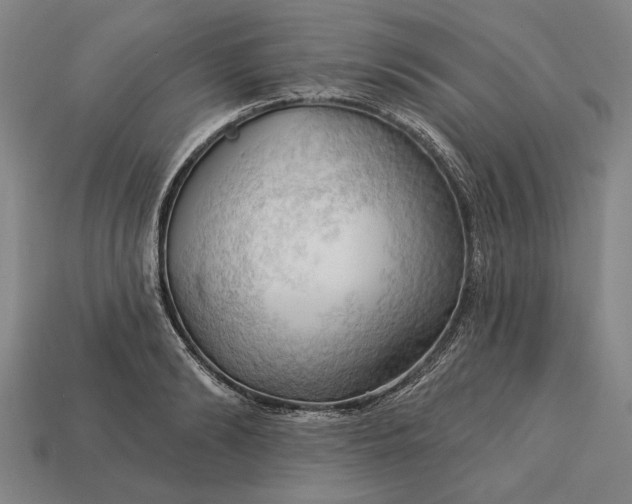 X0000113130894200909181707