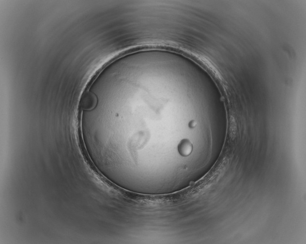 X0000113130895200909181707