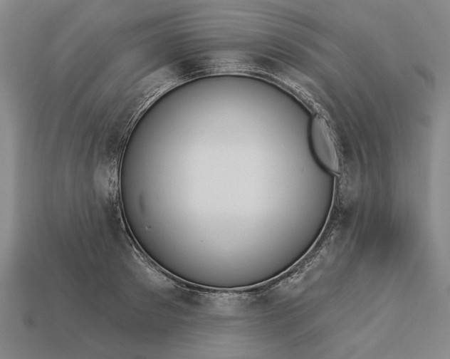 X0000113130897200909181707