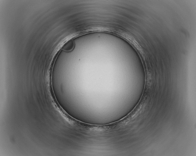 X0000113130898200909181707